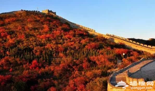 北京的秋天有什么 除了红叶还有这些美景[墙根网]