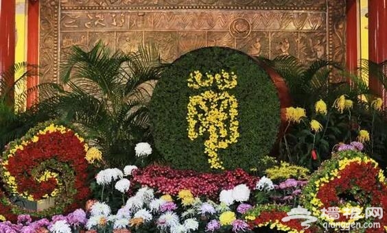 五大北京赏菊的地方 立冬降至 菊花仍美[墙根网]