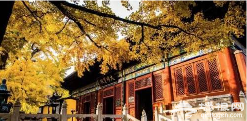 北京出发有条绝美的世界级景观长廊, 去看吗?[墙根网]