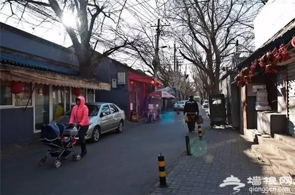 北京的冬天，什么最值得看？[墙根网]
