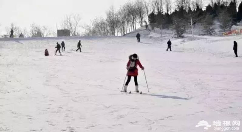 蓟州区滑雪场要试营业！天津周边滑雪胜地盘点[墙根网]