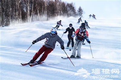 多彩雪景特色体验 差异化让冰雪旅游更精彩[墙根网]
