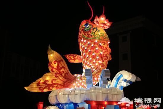 上海欢乐谷跨年灯会盛大亮灯