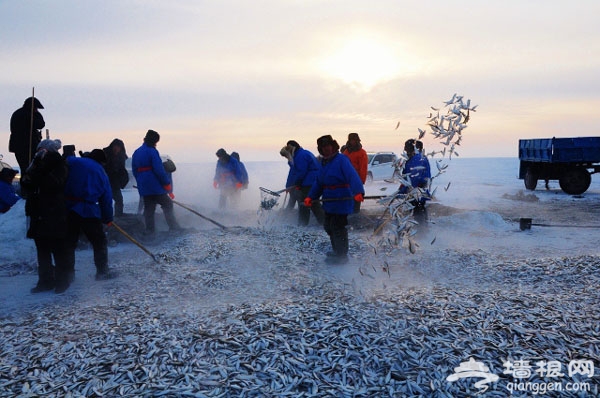 谁说冬天没地方去？这里的冬天美得让人窒息！[墙根网]