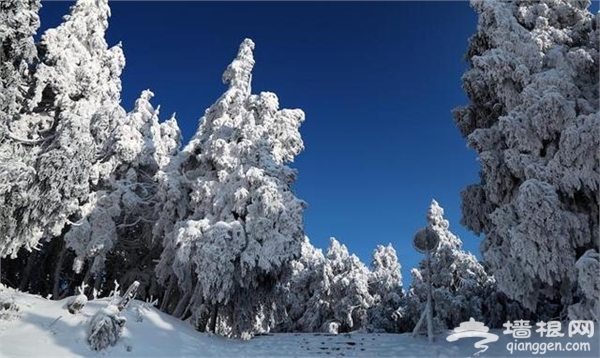 摩围山森林文化节动感冰雪季12月17日开幕