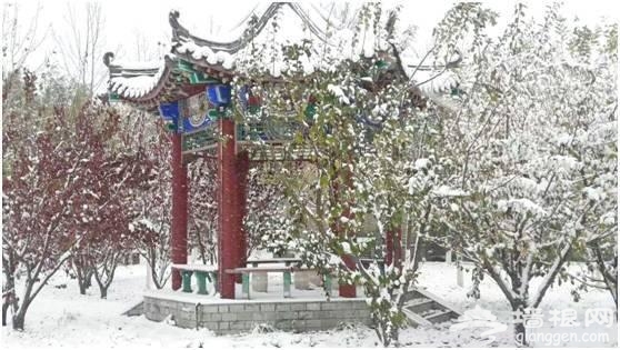 赏美景品文化 天津2016冬季旅游活动大菜单推出[墙根网]