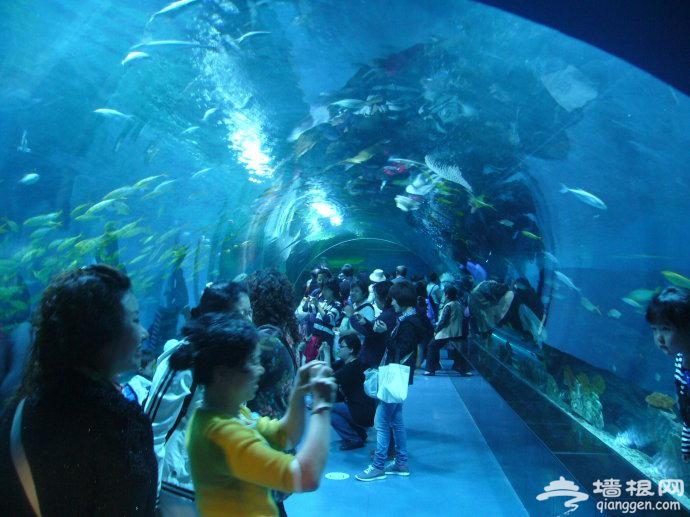 赏美景品文化 天津2016冬季旅游活动大菜单推出[墙根网]