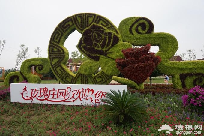 赏美景品文化 天津2016冬季旅游活动大菜单推出[墙根网]