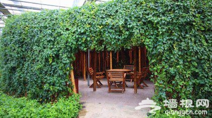 赏美景品文化 天津2016冬季旅游活动大菜单推出[墙根网]