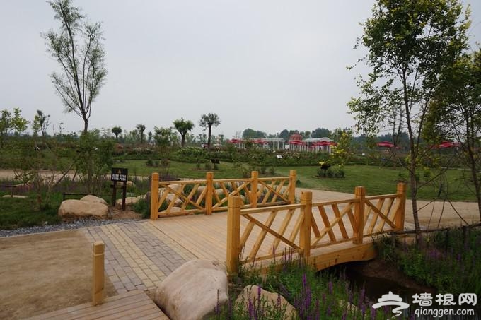 赏美景品文化 天津2016冬季旅游活动大菜单推出[墙根网]
