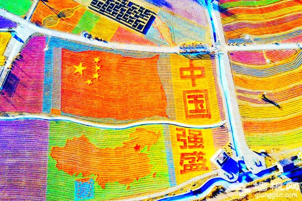 逆天了，密云人间花海冬季绚丽蜕变风车海洋！[墙根网]