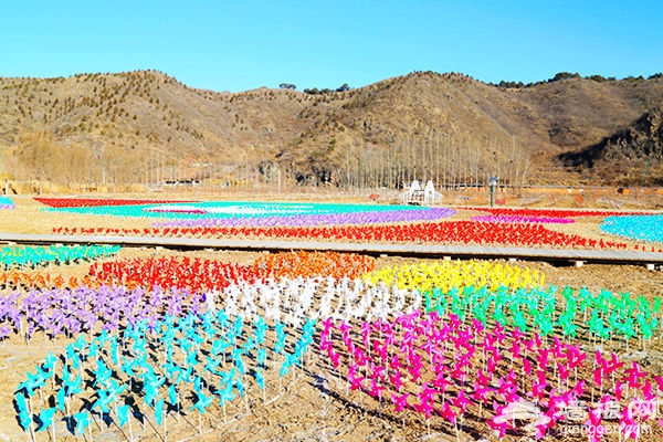 逆天了，密云人间花海冬季绚丽蜕变风车海洋！[墙根网]