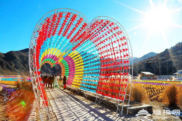 逆天了，密云人间花海冬季绚丽蜕变风车海洋！[墙根网]