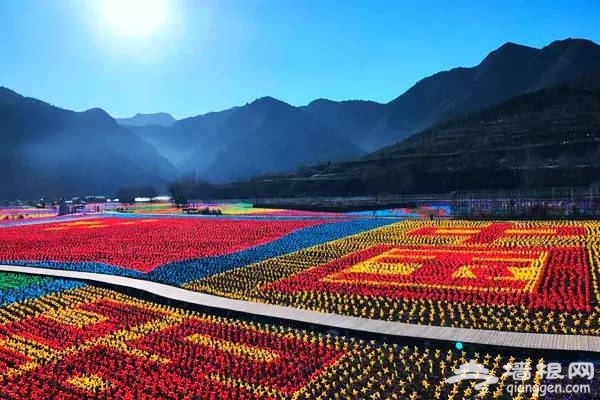 逆天了，密云人间花海冬季绚丽蜕变风车海洋！[墙根网]