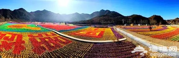 逆天了，密云人间花海冬季绚丽蜕变风车海洋！[墙根网]