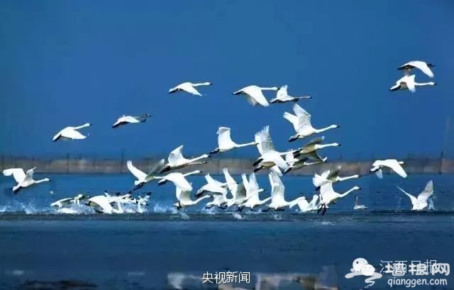 中国最美高铁全线通车 沿途景色美翻了