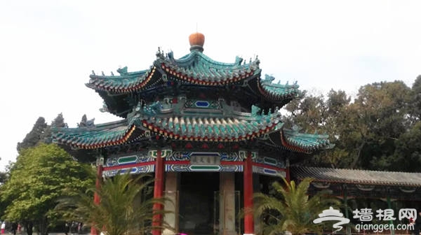 北京新年精彩活动攻略，气氛搞起来！[墙根网]