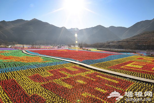 2017北京密云人间花海风车节 惊喜不停