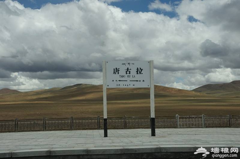 青藏铁路规定:坐火车去西藏 要先签"生死状"[墙根网]