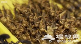 BBC拍中国春节 全球最大的新年盛典