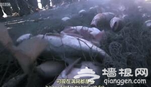BBC拍中国春节 全球最大的新年盛典
