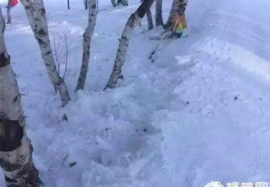 北大女生滑雪意外身亡 知情人：刹了两次没刹住后撞树