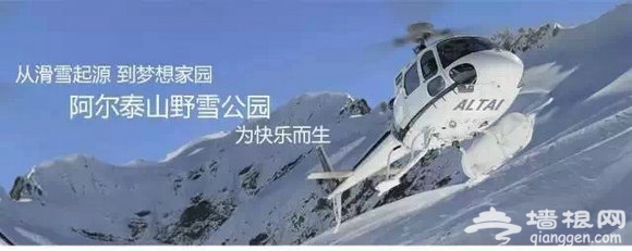直升机滑雪成爆点 阿勒泰雪营销铸亮点[墙根网]