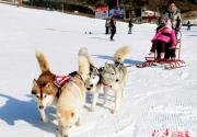 春节期间北京举办380场文艺演出 25场大规模冰雪游艺活动