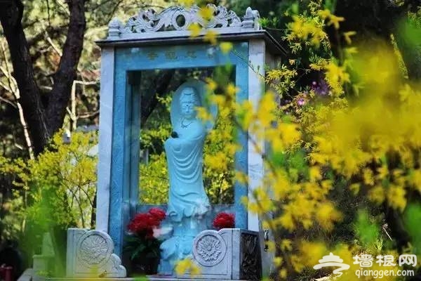 周末到京郊踏春赏梅 健身洗肺的首选地！[墙根网]