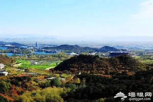 周末到京郊踏春赏梅 健身洗肺的首选地！[墙根网]