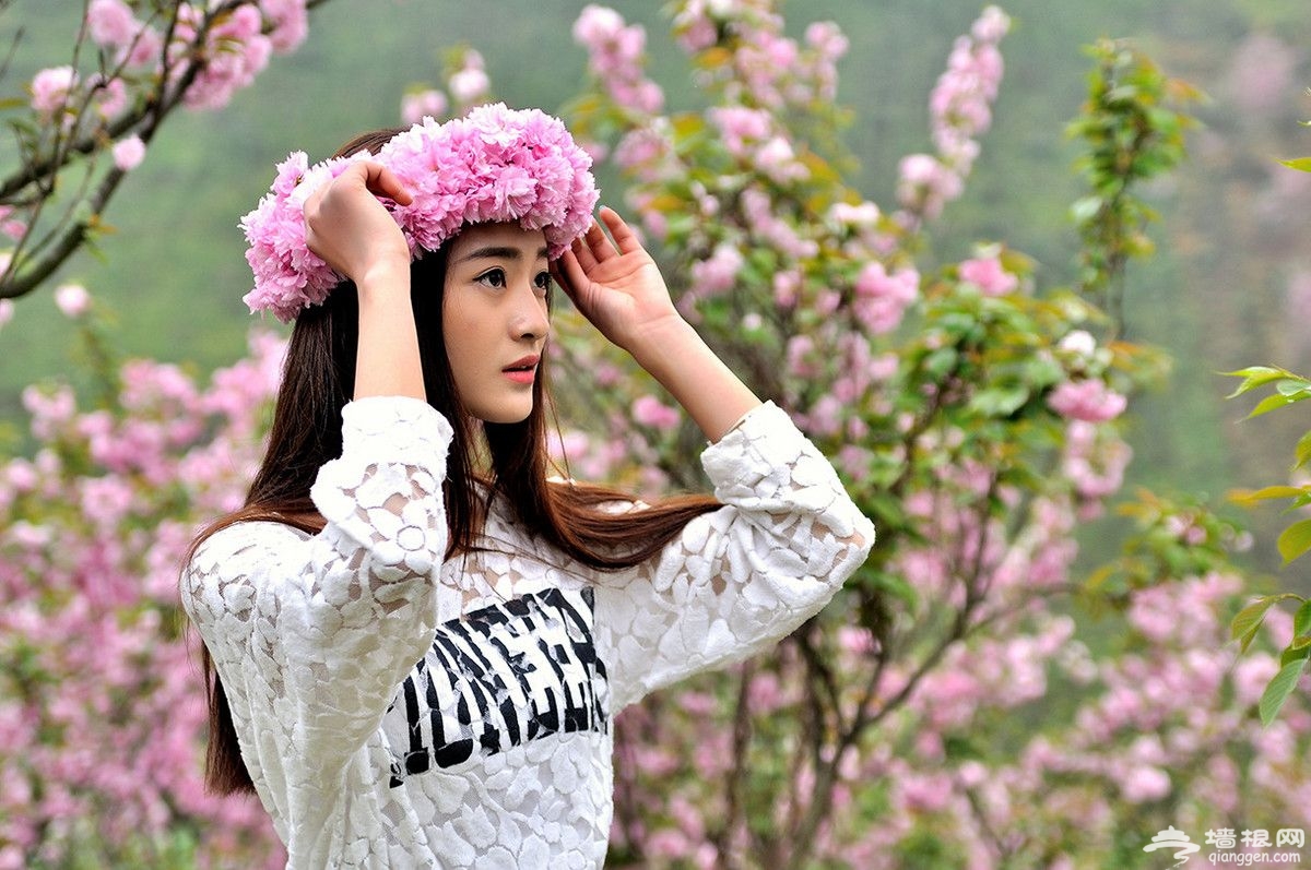 国内这9个樱花胜地比东京樱花美百倍[墙根网]