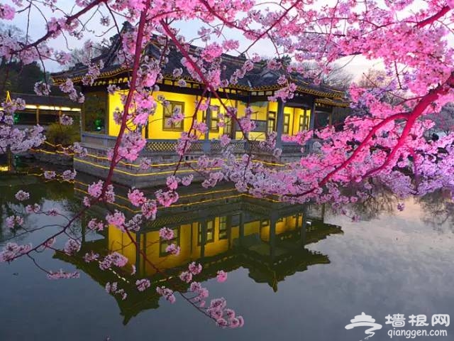 3月最值得北京人去的10个地方。[墙根网]