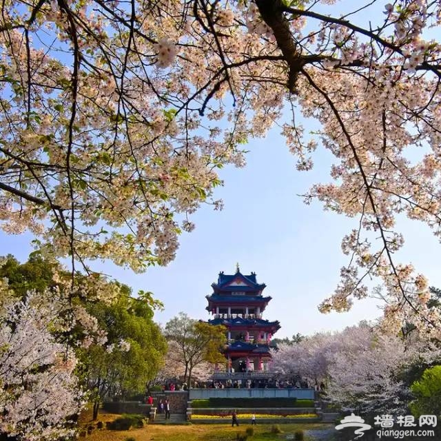 3月最值得北京人去的10个地方。[墙根网]