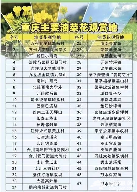 油菜花花期提前半个月啦！47个赏花地周末赶紧约！[墙根网]