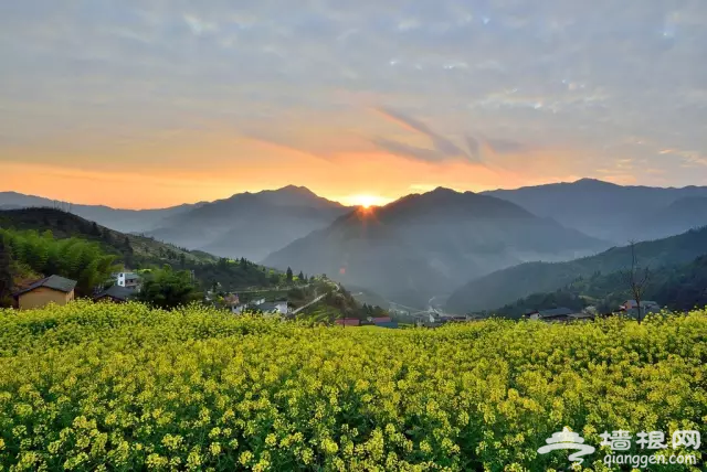 不去这10个美景地 就真的辜负了春天![墙根网]