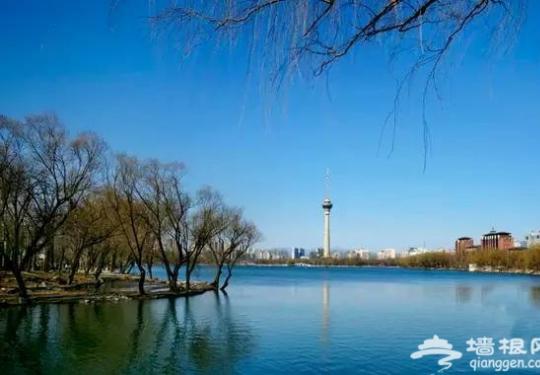 再过10天北京这7个地方将惊艳全国美成天堂