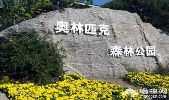春光无限好 花海袭京城 带上瓜子瞧瞧这些妖艳好物[墙根网]