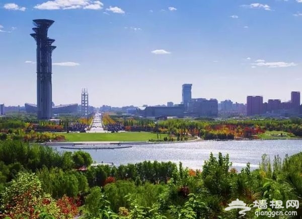 春光无限好 花海袭京城 带上瓜子瞧瞧这些妖艳好物[墙根网]