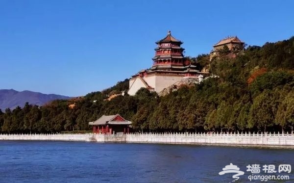 春光无限好 花海袭京城 带上瓜子瞧瞧这些妖艳好物[墙根网]