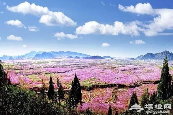 京郊自驾5大线路，周末再也不用窝在家里[墙根网]