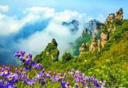 阳春三月花开成海 未来3个月河北最美赏花处