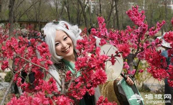 2017天津赏花时间表来了！赶紧收藏！[墙根网]