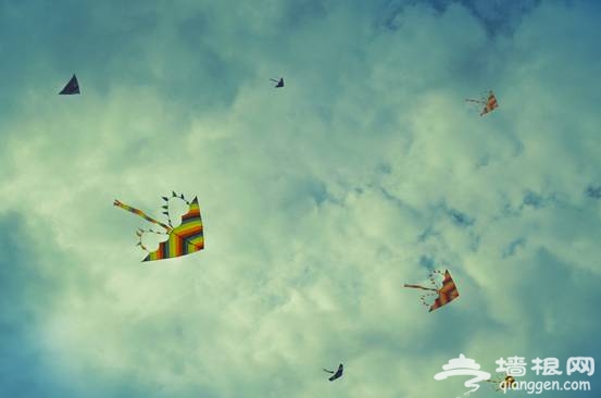 2017年首届恒大海上威尼斯国际沙滩风筝节即将盛大开幕！[墙根网]