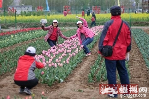 第八届北京国际山地徒步大会开幕 首站走进油菜花海[墙根网]