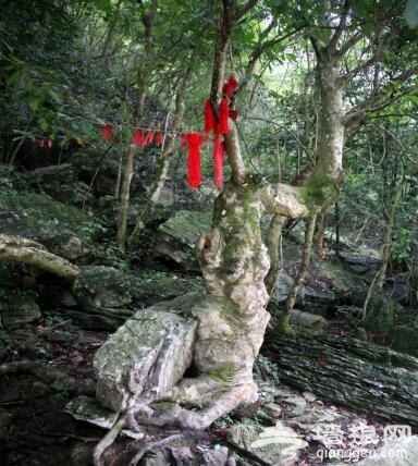 花果山算什么！这才是大圣最喜欢的人间仙境！[墙根网]