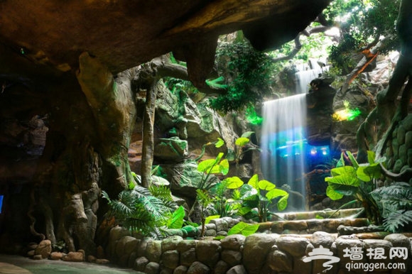 大山里一抹来自海洋的蓝色——多彩贵州城极地海洋世界[墙根网]