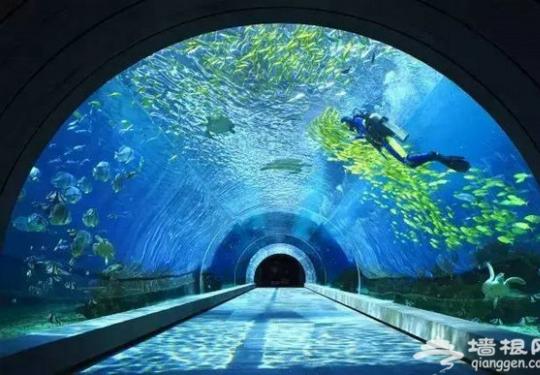 大山里一抹来自海洋的蓝色——多彩贵州城极地海洋世界