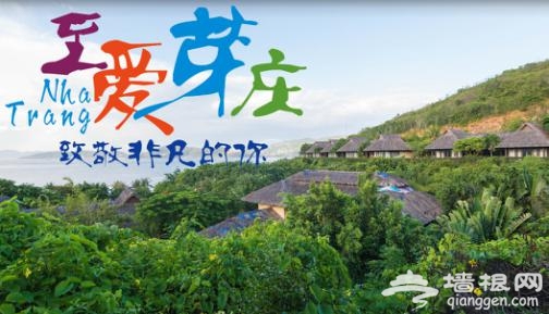 芽庄海洋节的极致玩法-至尊岛[墙根网]