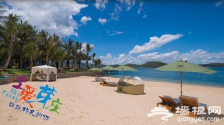 芽庄海洋节的极致玩法-至尊岛[墙根网]