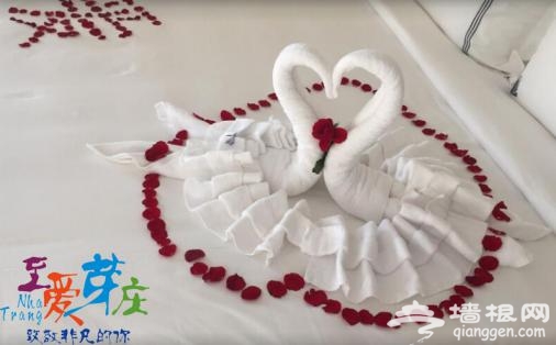 芽庄海洋节的极致玩法-至尊岛[墙根网]